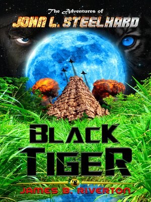 cover image of Black Tiger